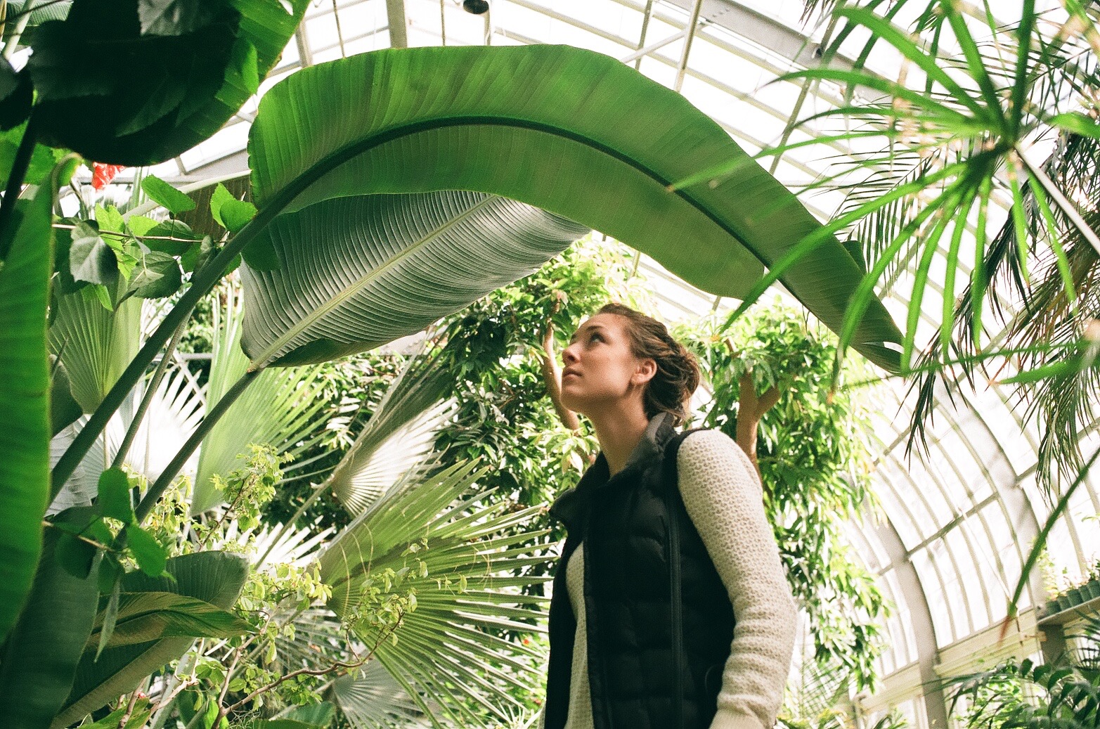 Underneath | Canon AE-1 | ChrisMcCarty
