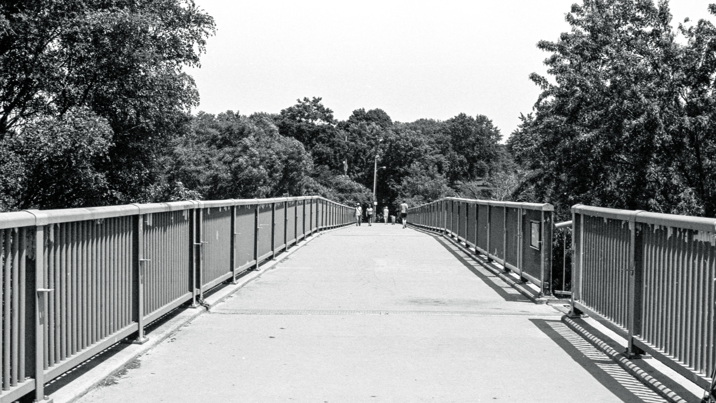  Bridge over the Don Valley on Friday 