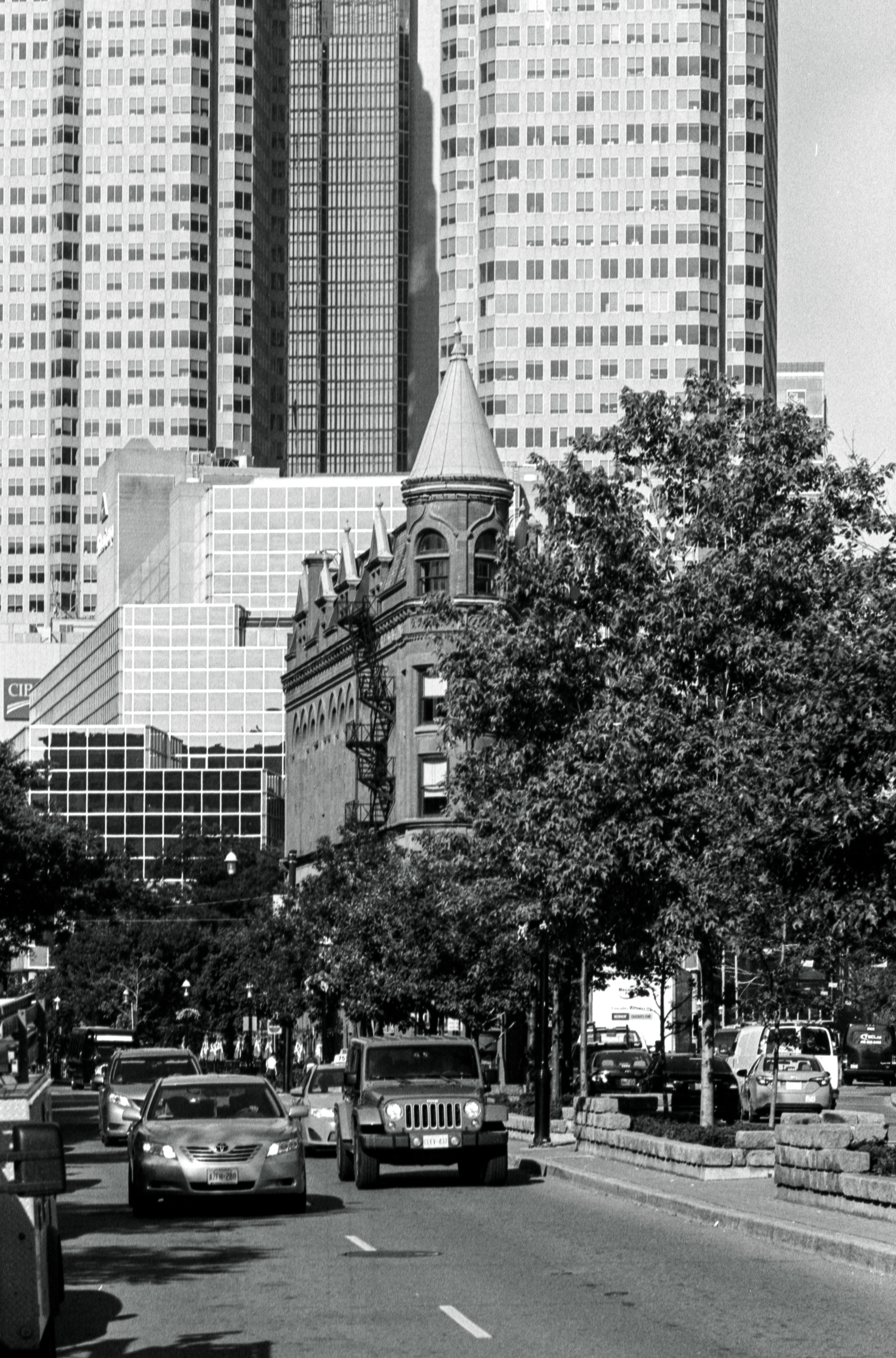  Flatiron Behind the Tree 