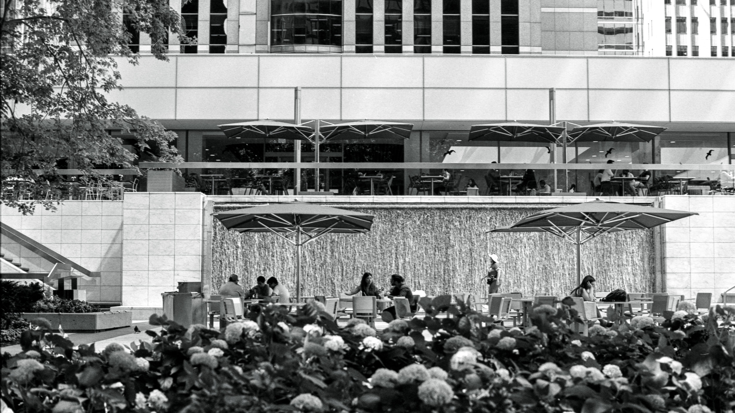  Lunch in Front of First Canadian Place 