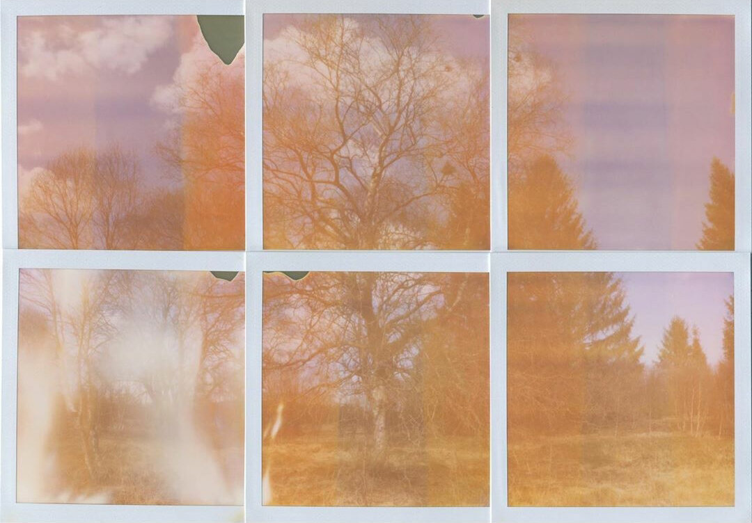 Ina Echternach | @iamina | 'A day in the Hautes Fagnes... 2' 