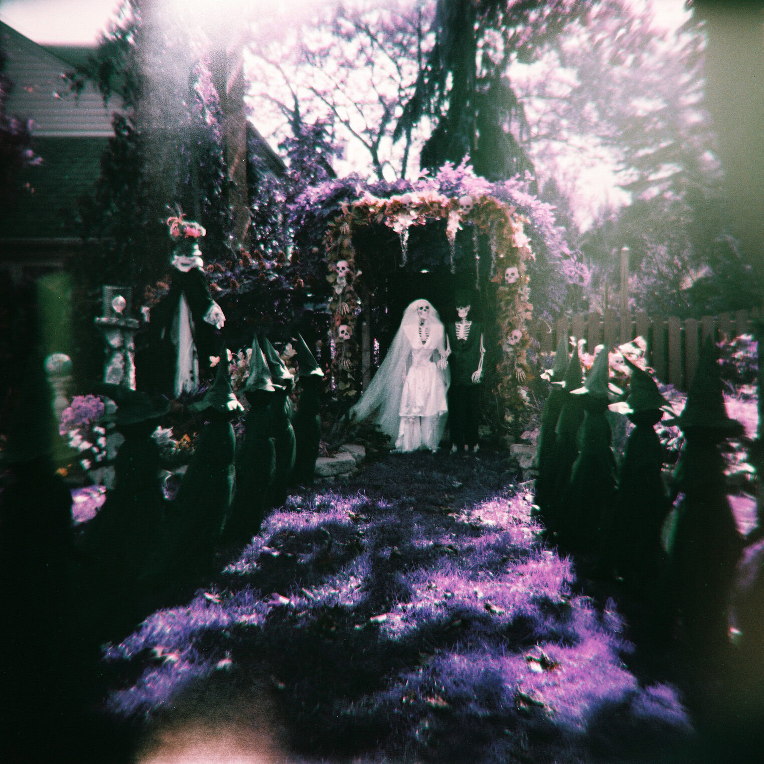 Katie Gregory - UnholyMatrimony_Holga120n_KatieMollon.jpg