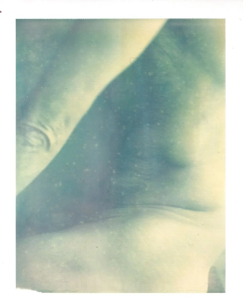 'My body green' | Stefano Questorio