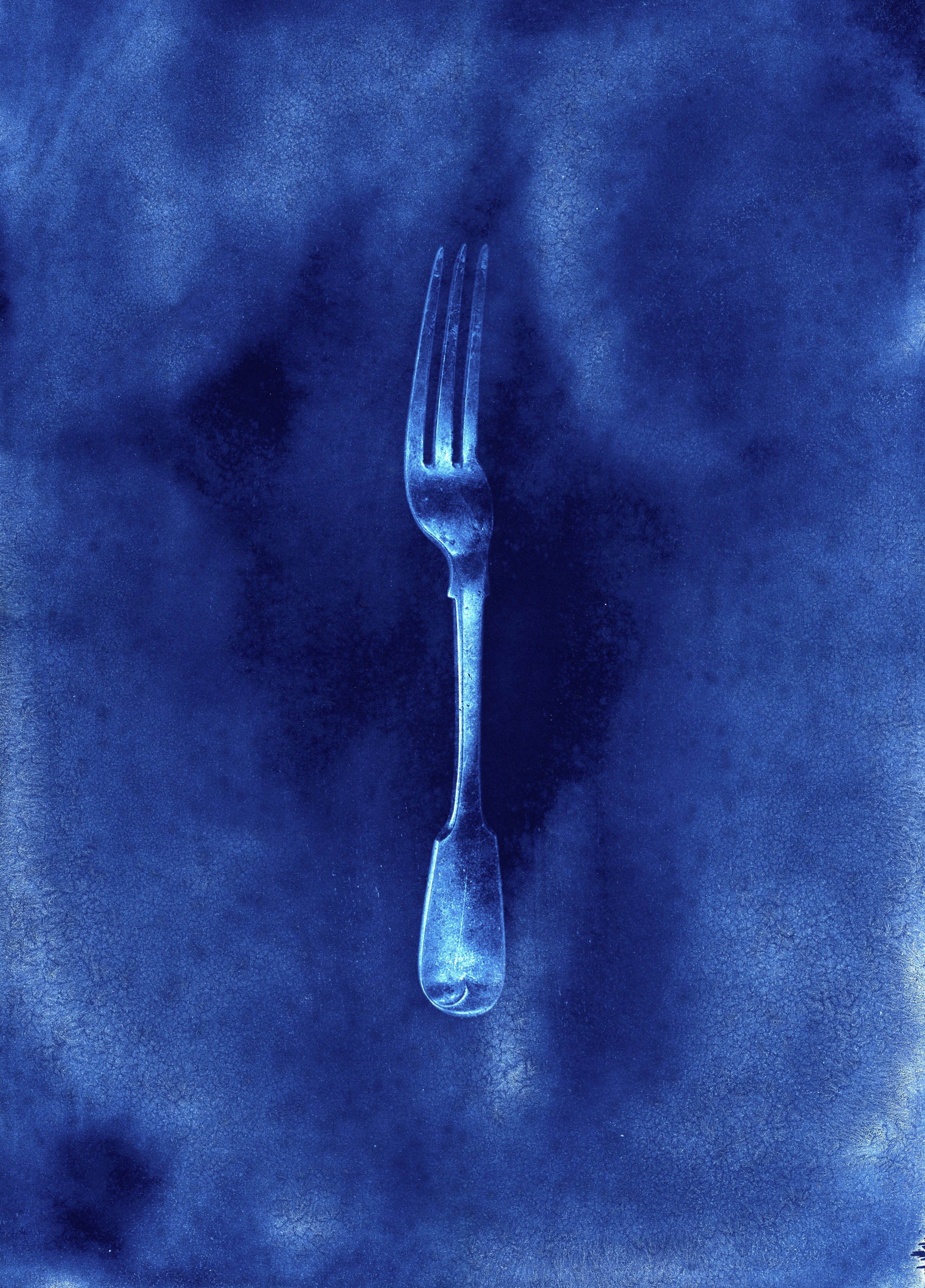 Franklin Expedition Relic -- fork | Sophie Loubere