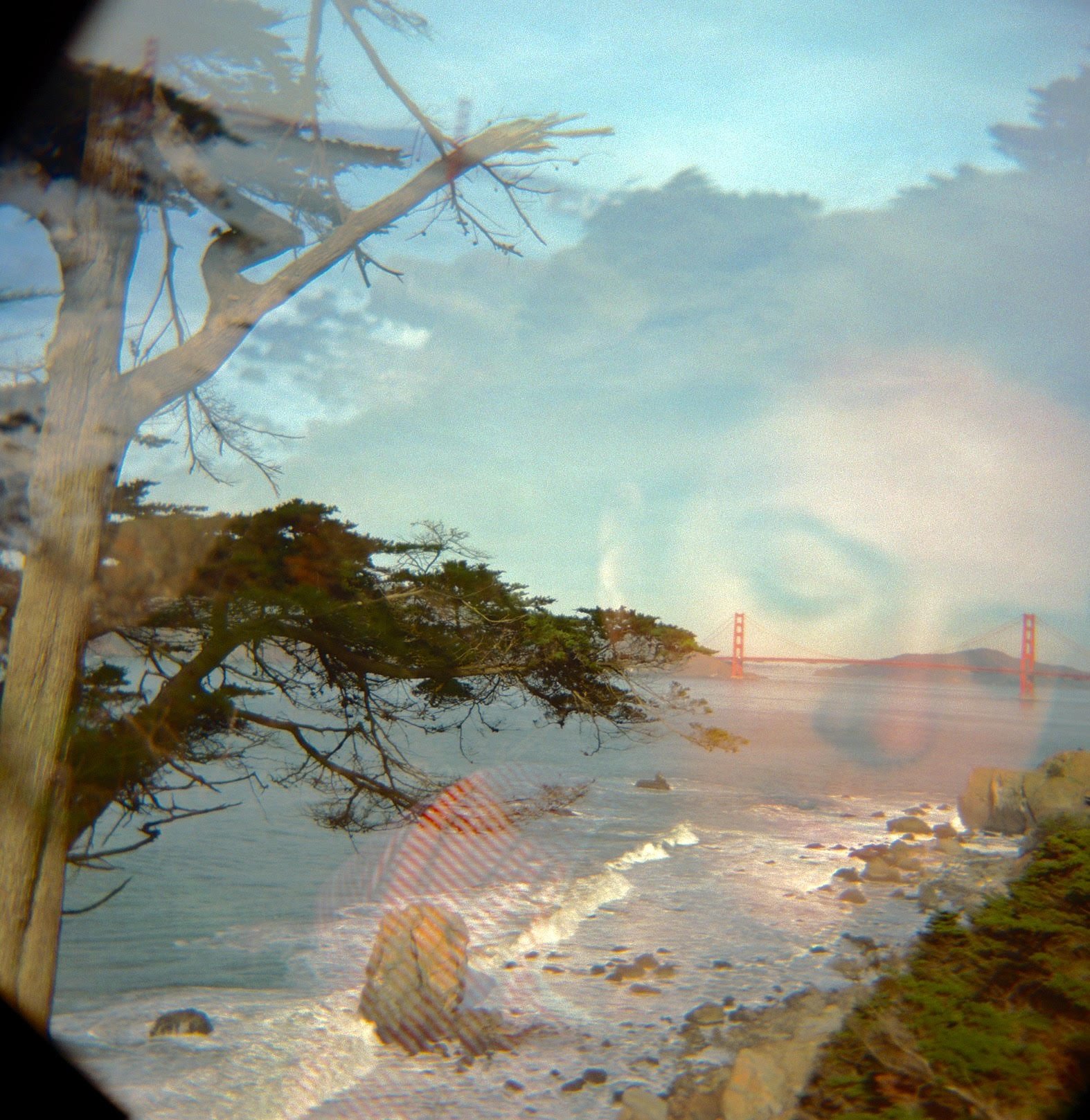 A San Francisco Slumber | Holga 120 CFN | Kodak Portra 400 | Roxy Shooshani