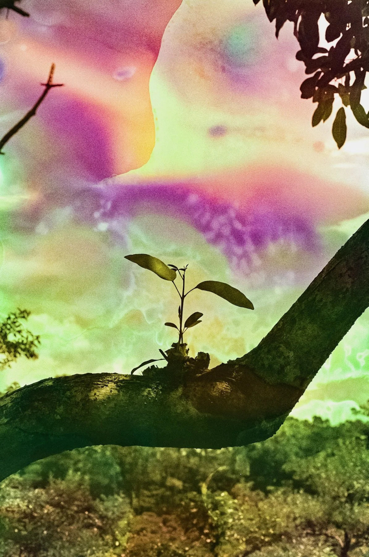 A Fresh Start January 2024 | Barbara Justice