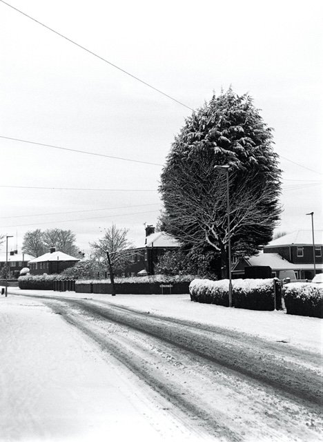 January 2024 Balda Baldax 6x4.5 on Ilford HP5. Camera cost £49.