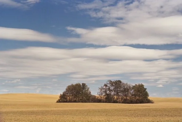 The Frugal Film Project | Larry Effler