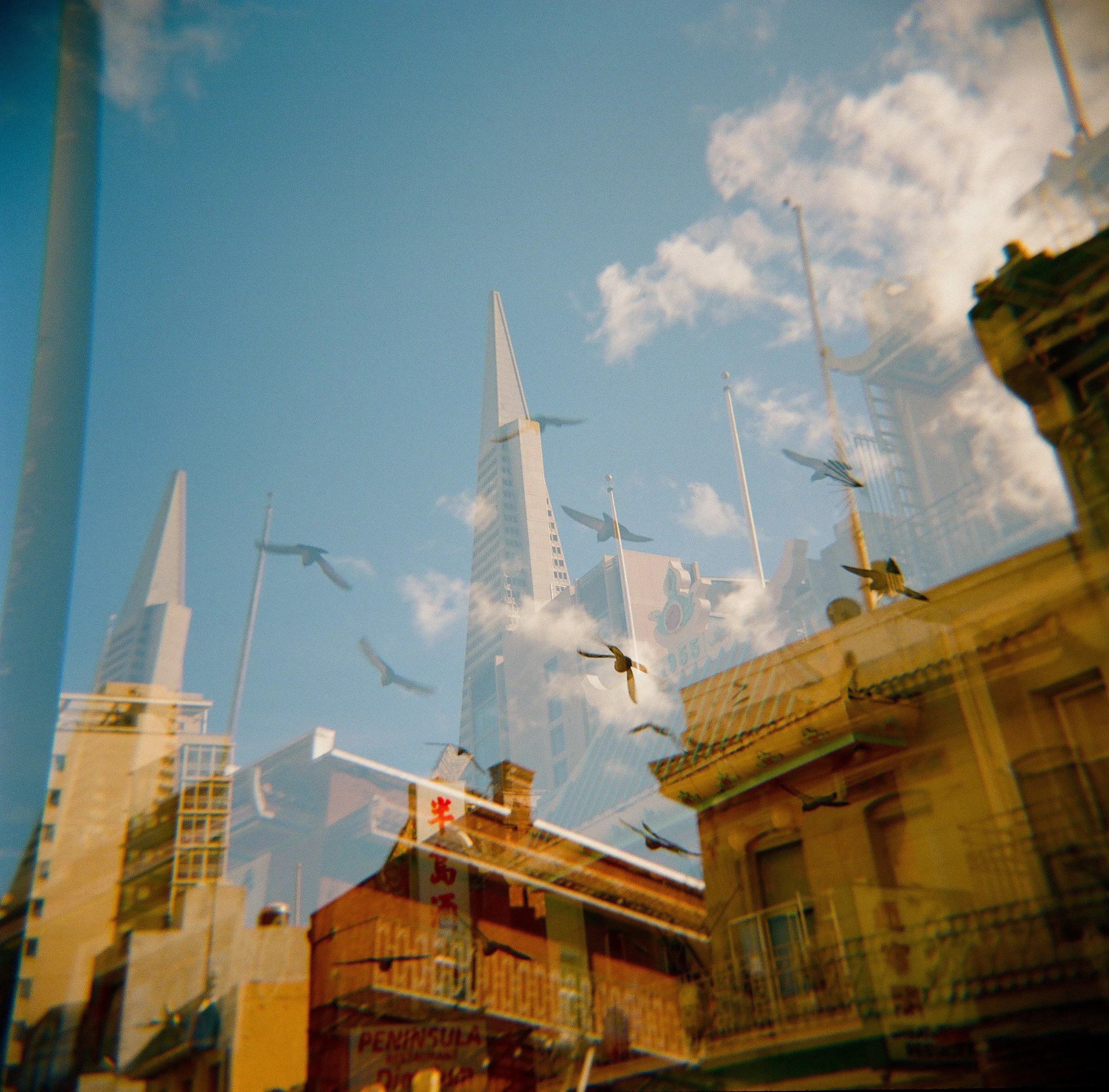 Angela Marlaud : Film Photographer