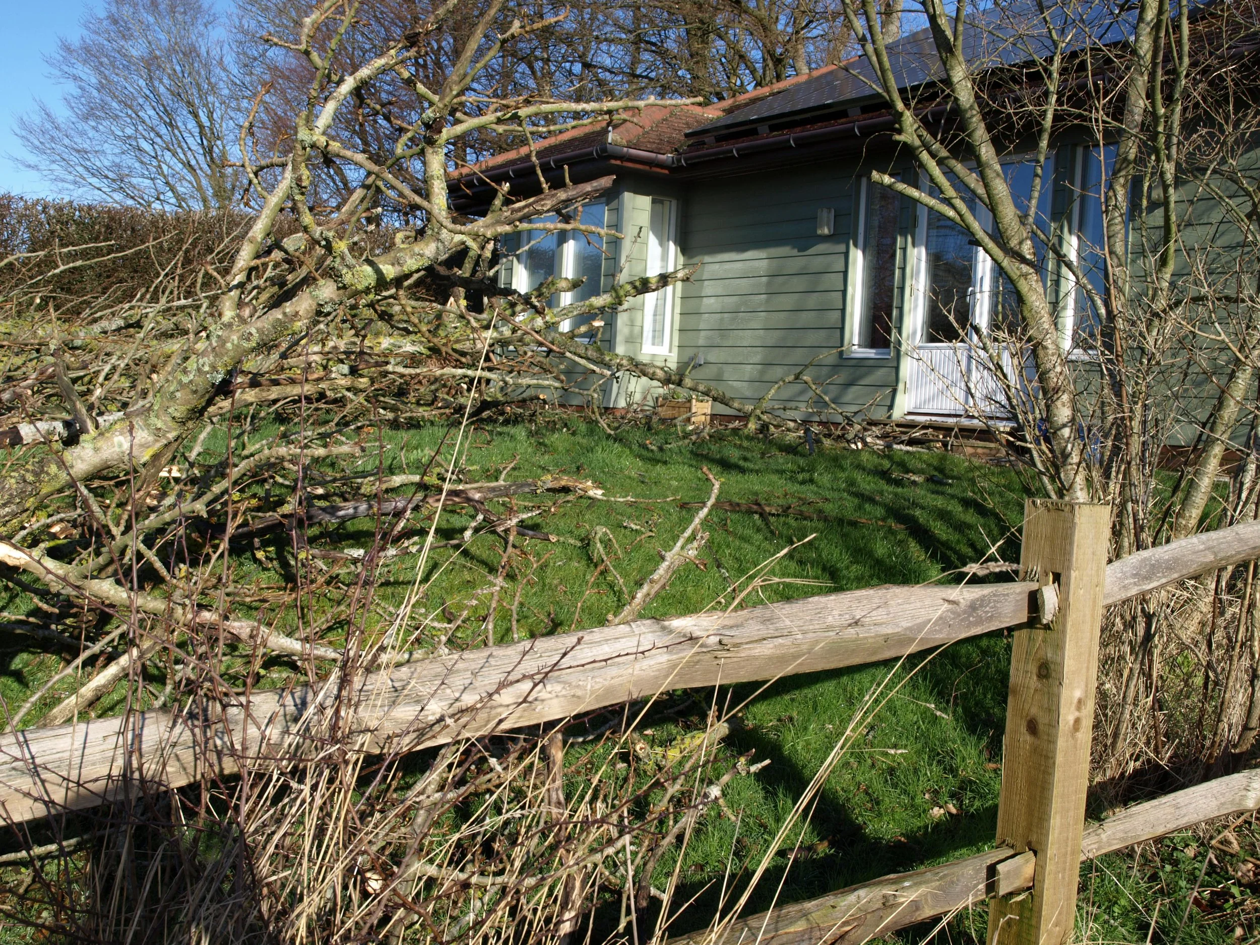 The day the cypress tree nearly fell onto Spanden Cottage