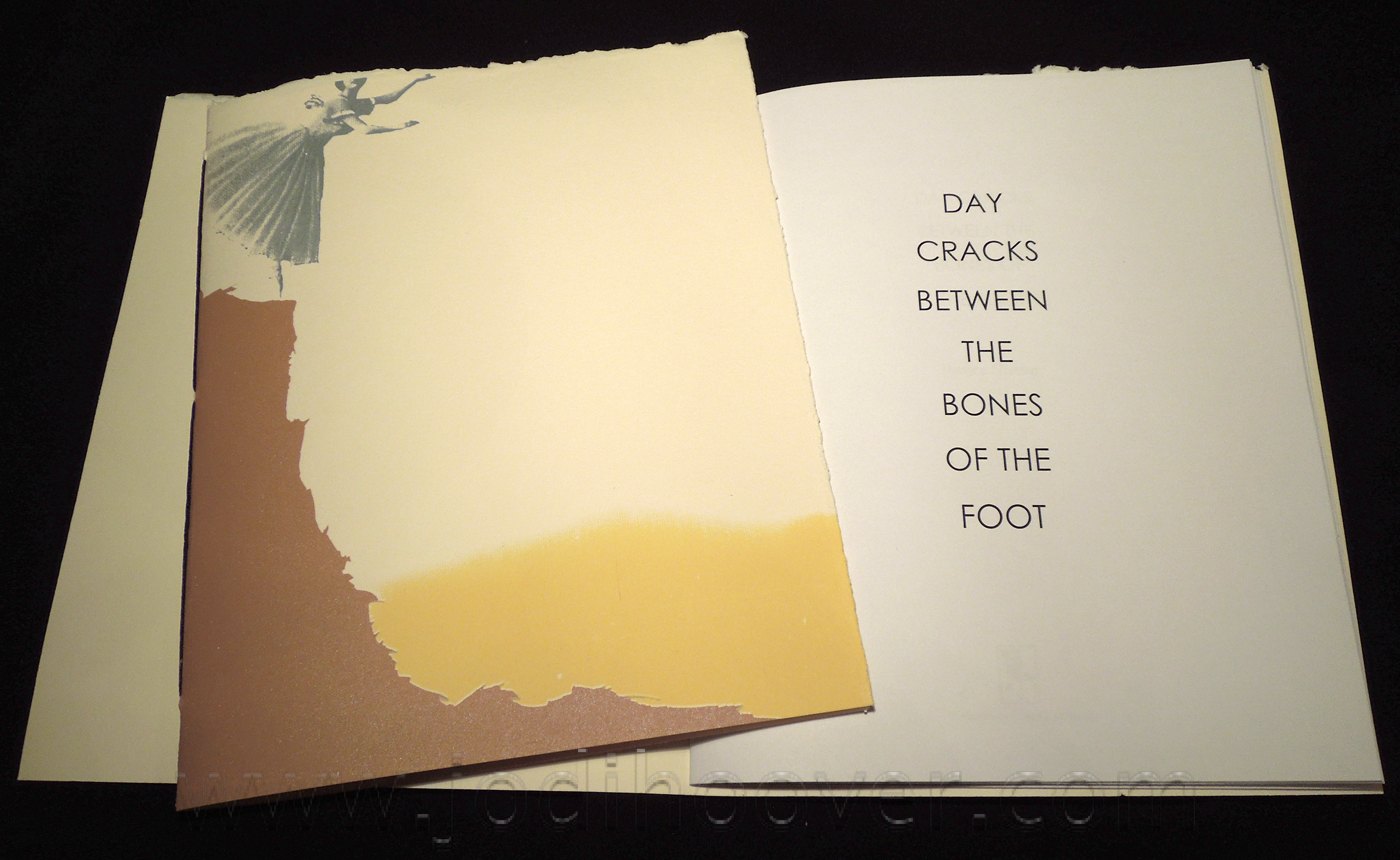 Day Cracks Between the Bones of the Foot, 2013