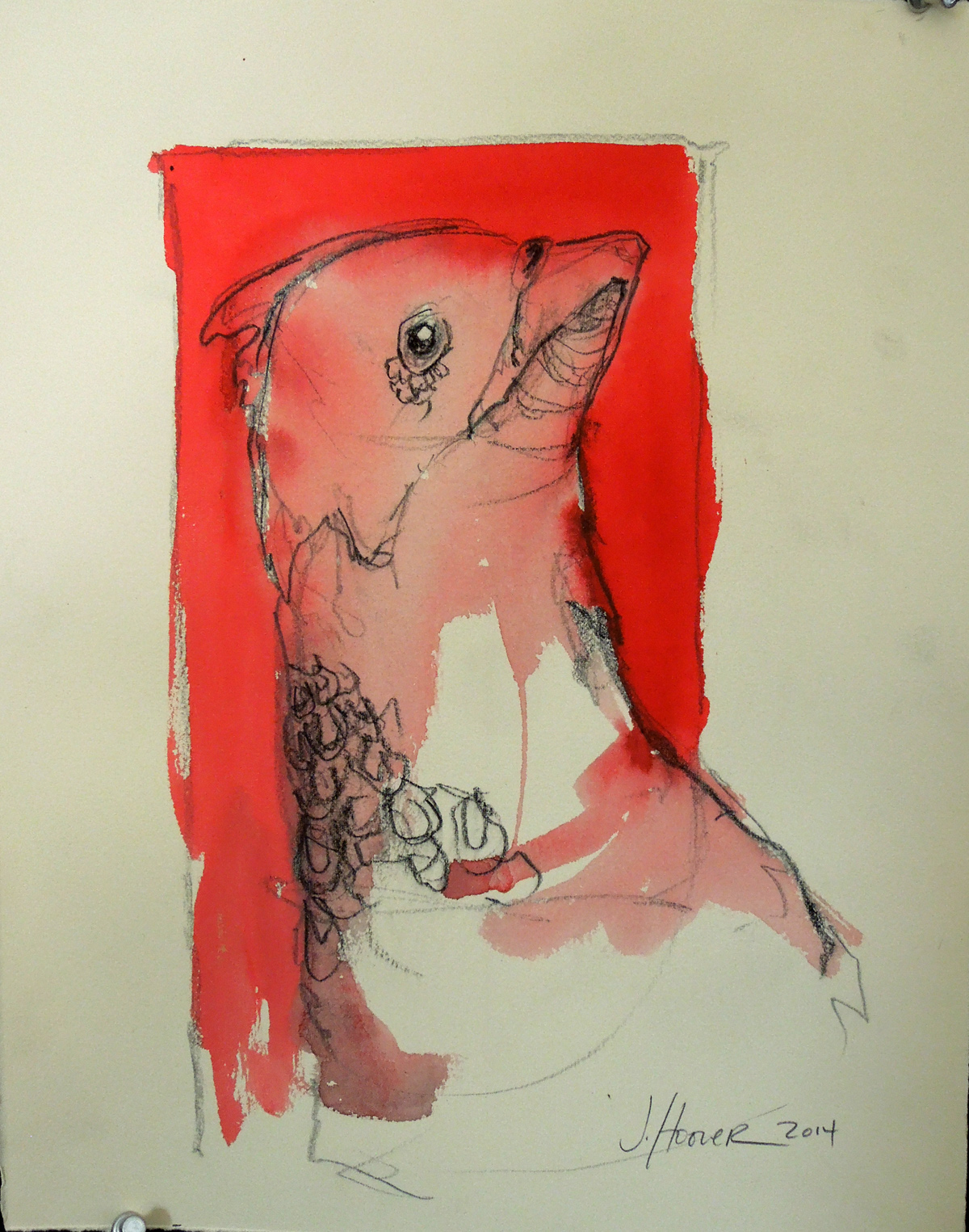 birdsketch.11x14.2014.small.jpg