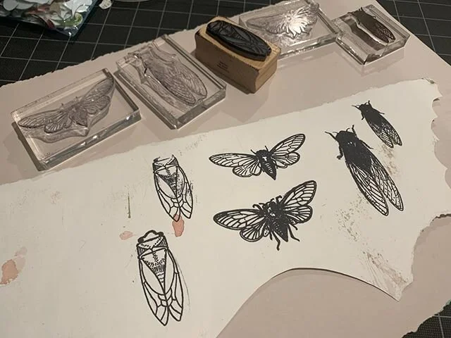 New cicada stamps arrived today!! This brings my total to 5 cicada stamps although really one is the same cicada stamp in a different size. The wooden one is really beautiful but difficult to print. .
#rubberstamps #rubberstampart #stampproblem #cica