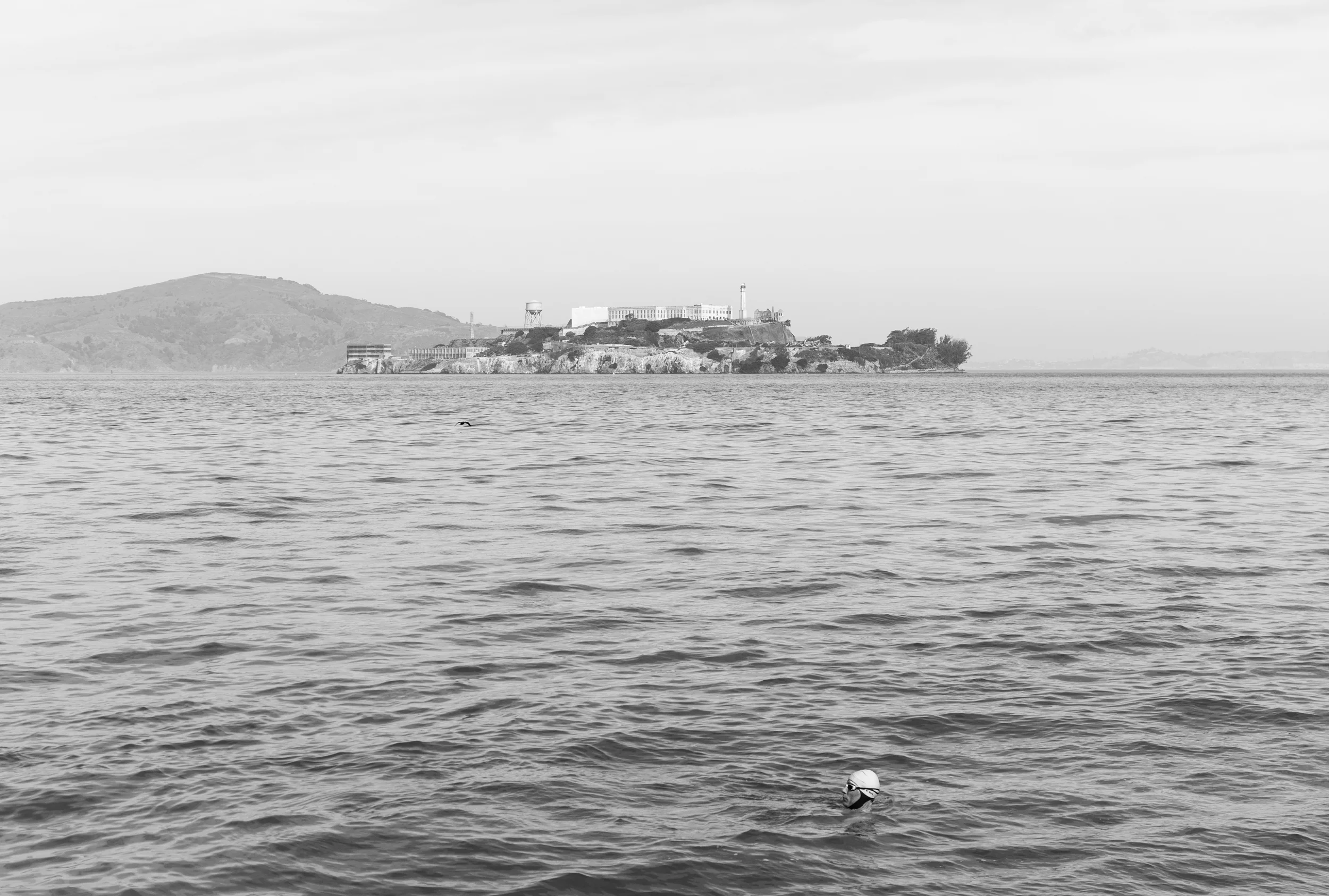 IMG_3427_1.jpg