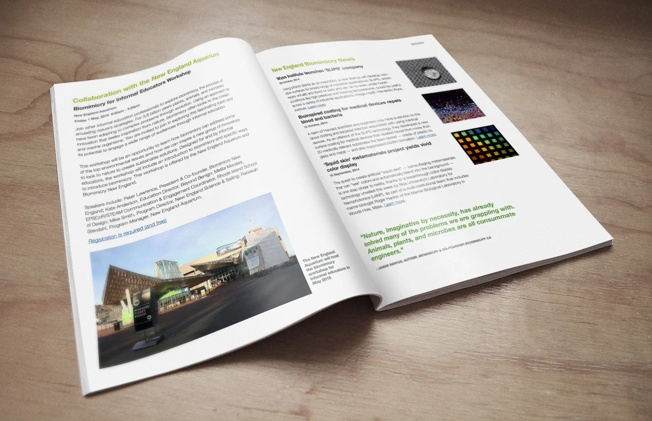 Magazine Mockup_Biomimicry.jpg