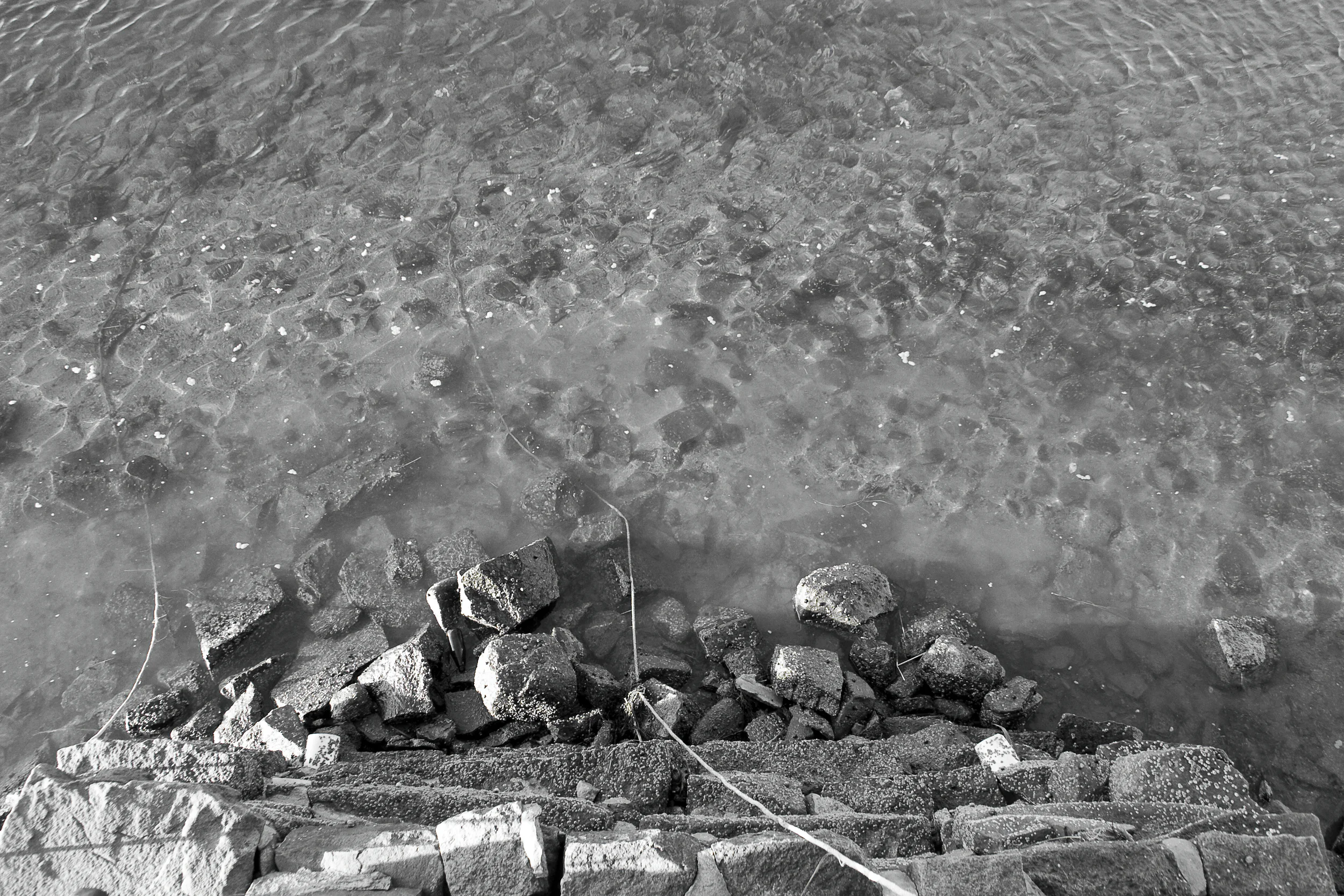 dock_water.jpg
