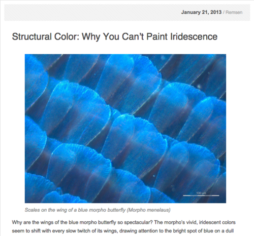 Sara+Remsen+Blog.png