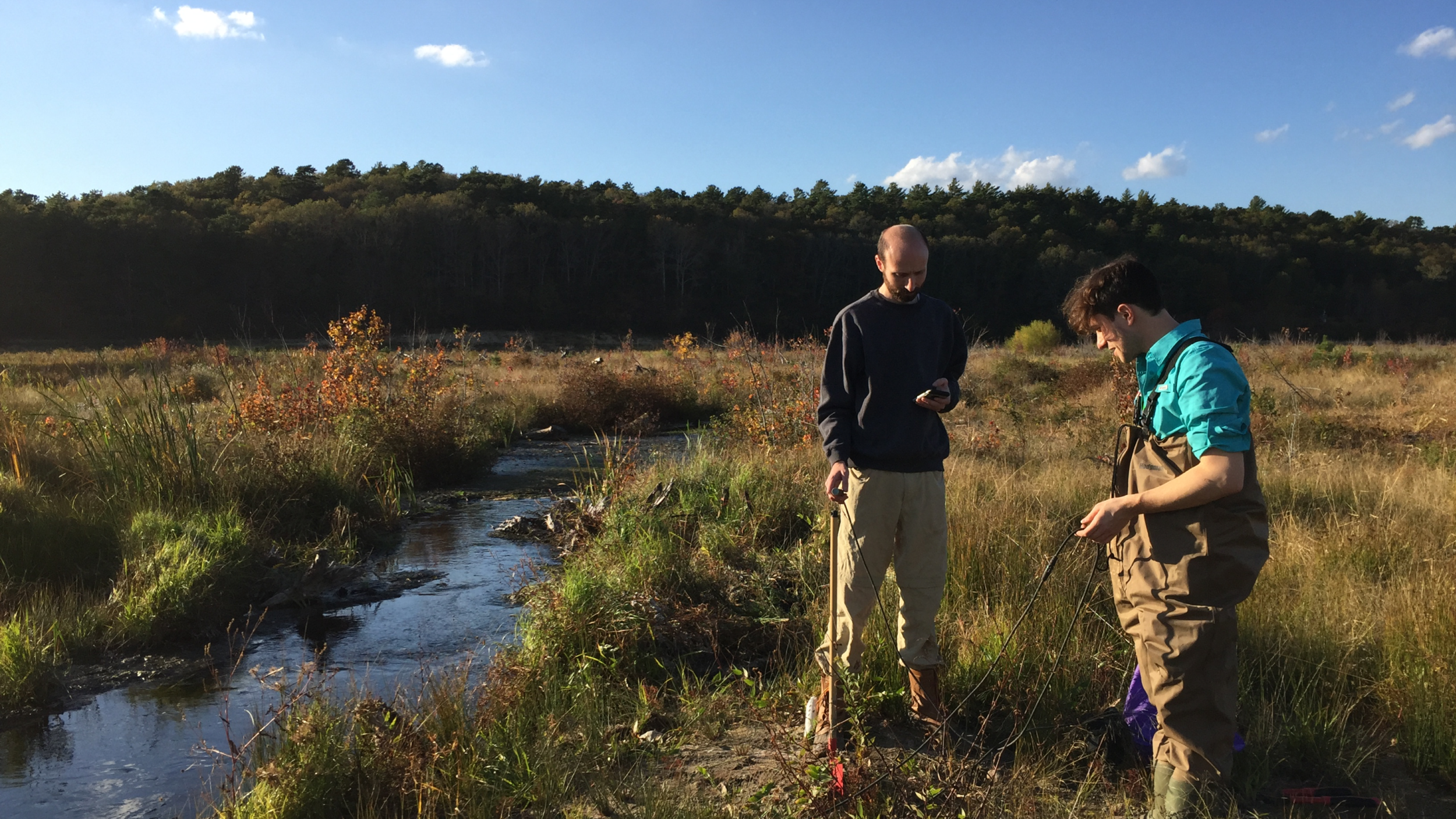Checking the sensor nodes embedded in the wetland in Plymouth, MA in partnership with the nonprofit Living Observatory