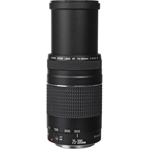 Canon Ef 75 300mm F 4 5 6 Iii Lens Stewart S Photo Canon Ef 75 300mm F 4 5 6 Iii Lens Stewart S Photo