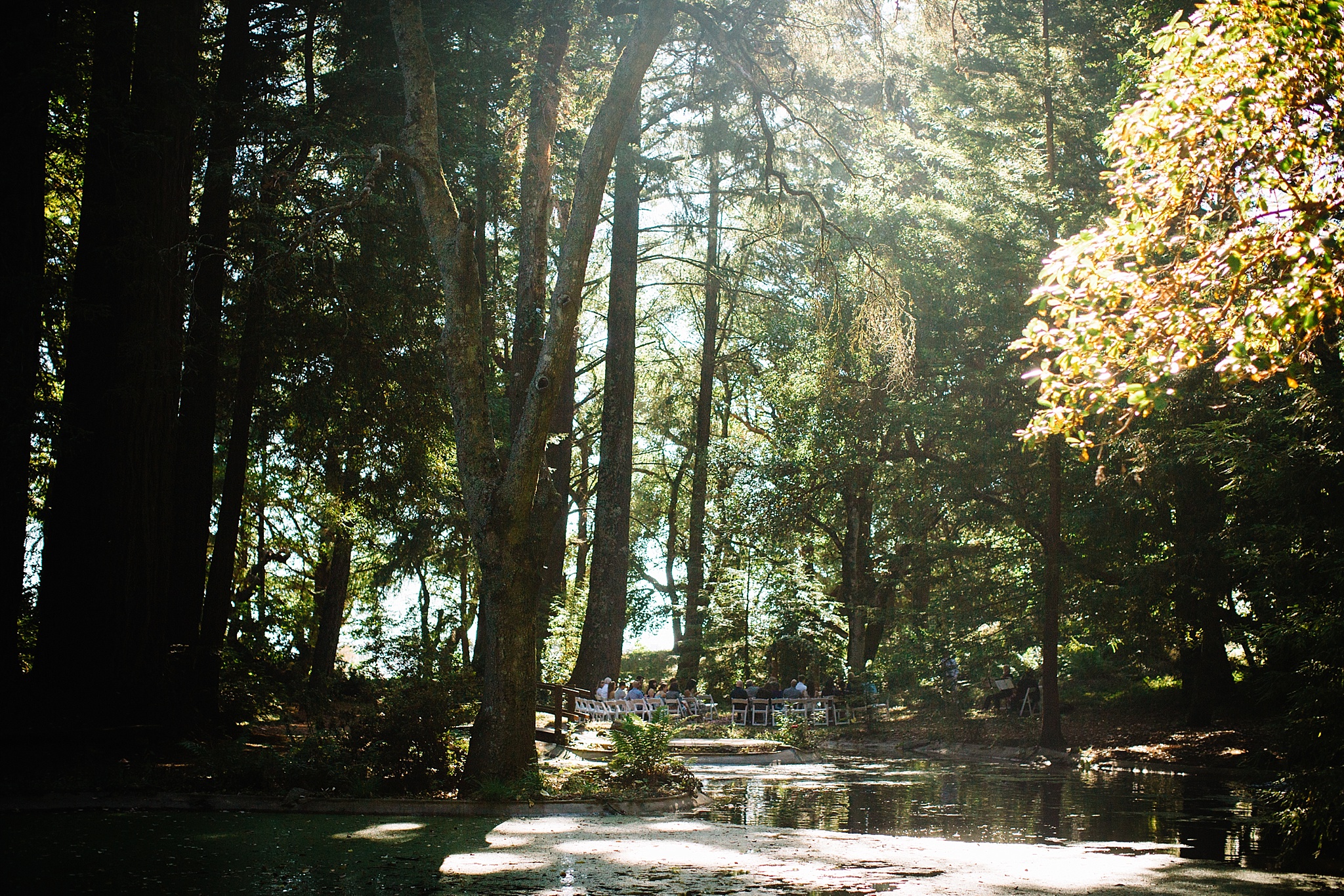 2015-10-29_0017.jpg