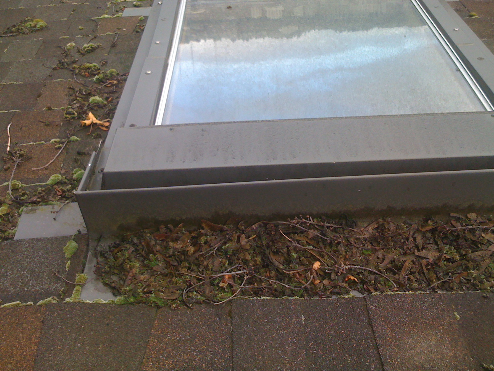 Roof Debris & Moss Compost on Skylights