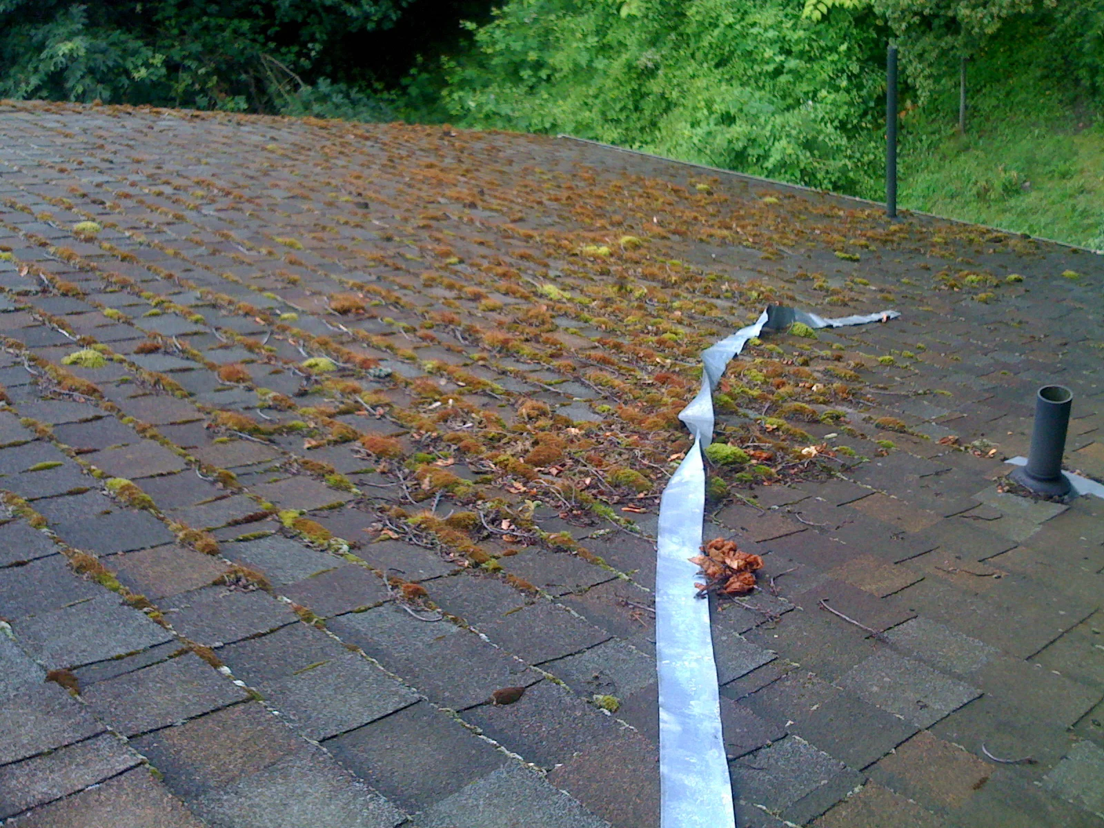 What about Zinc Strips?