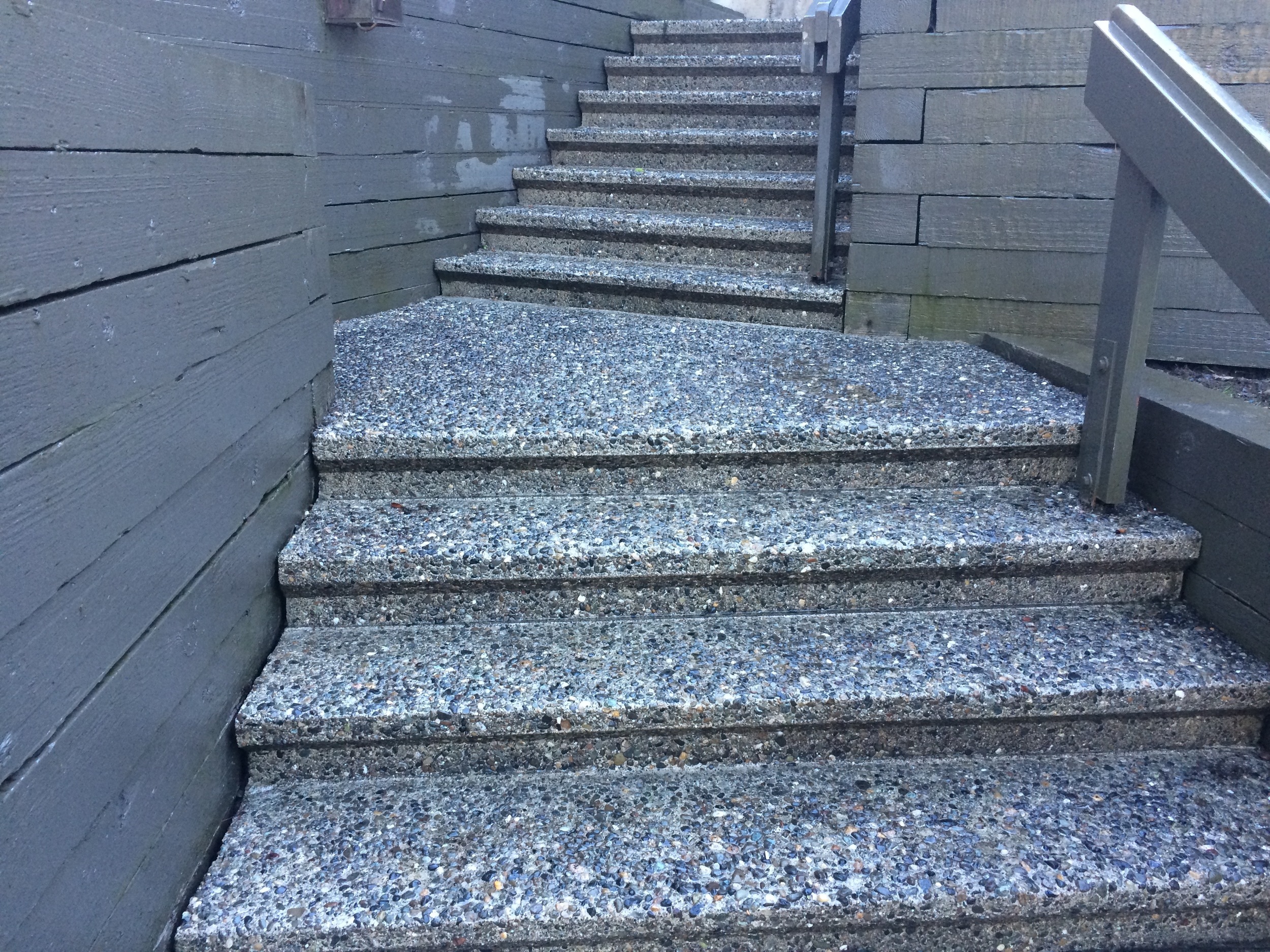 Front Steps After Pressure Washing