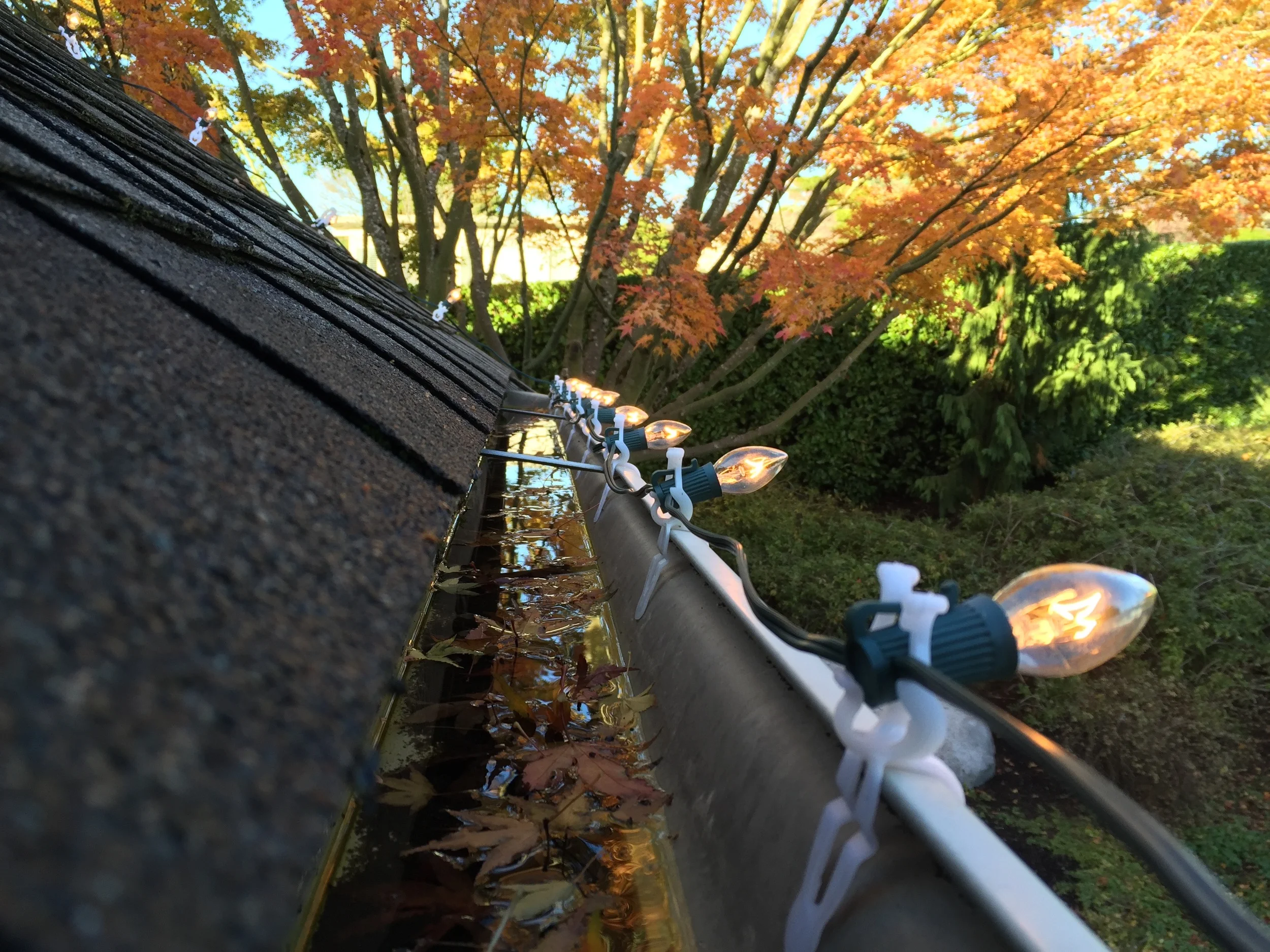 Free Gutter Clips!