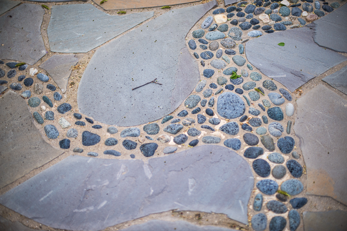 DSC_0078 - ann arbor photographer lotus garden.jpg
