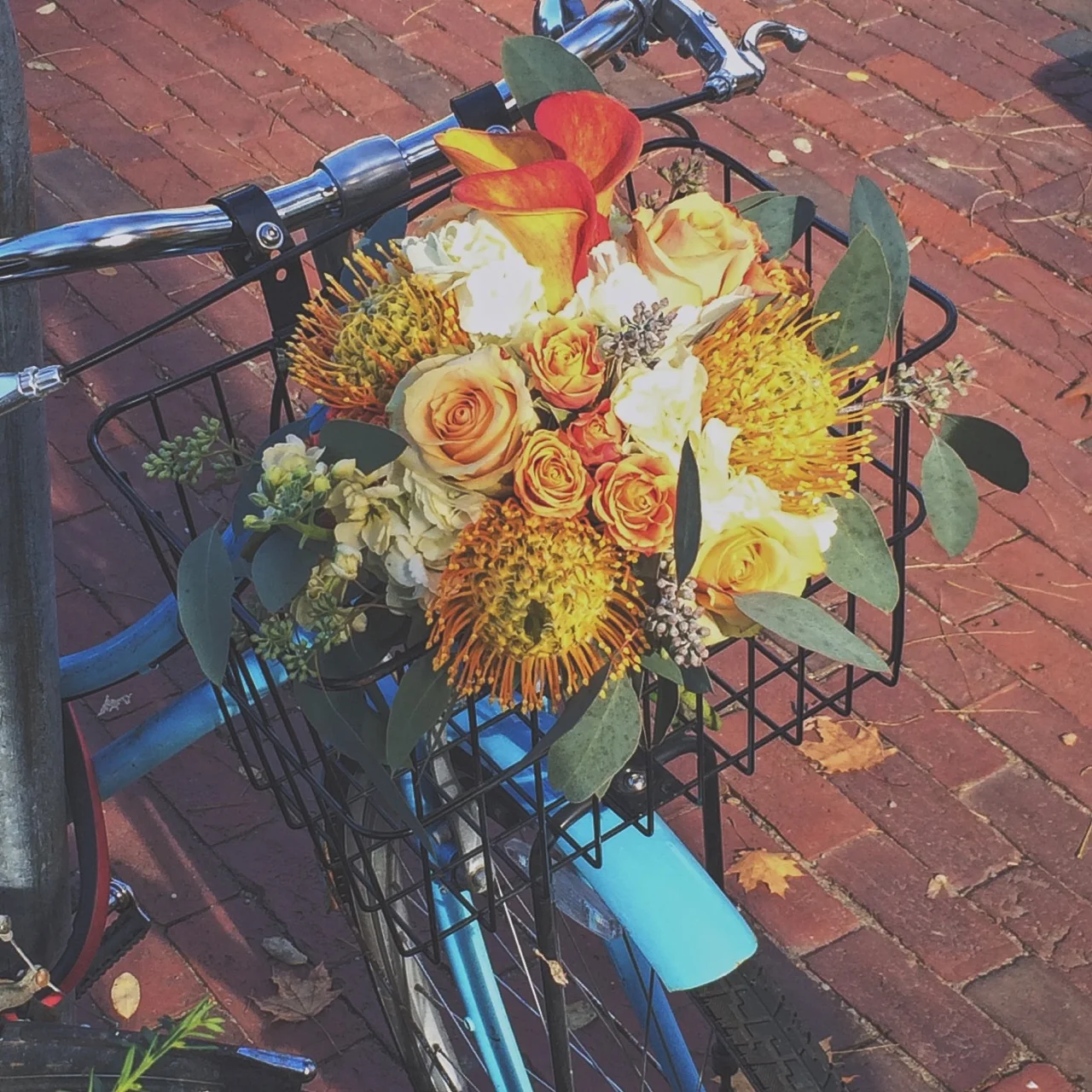 roses2.jpg