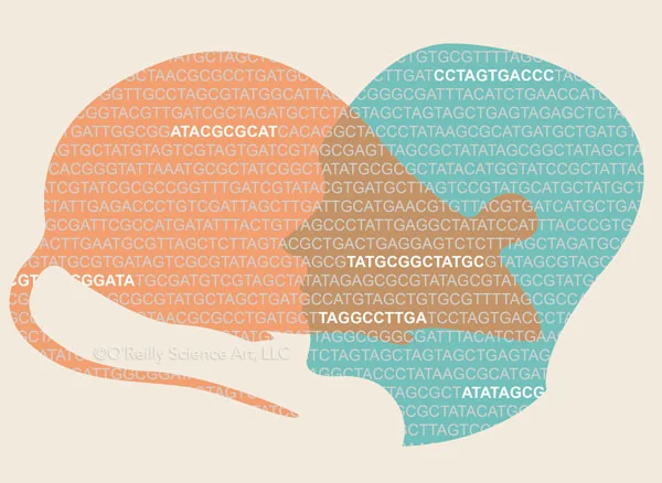 A comparative encyclopedia of DNA elements in the mouse genome