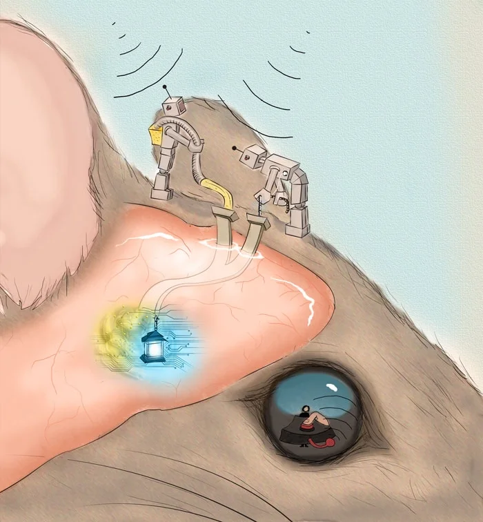 Wireless Optofluidic Systems for Programmable In Vivo Pharmacology and Optogenetics