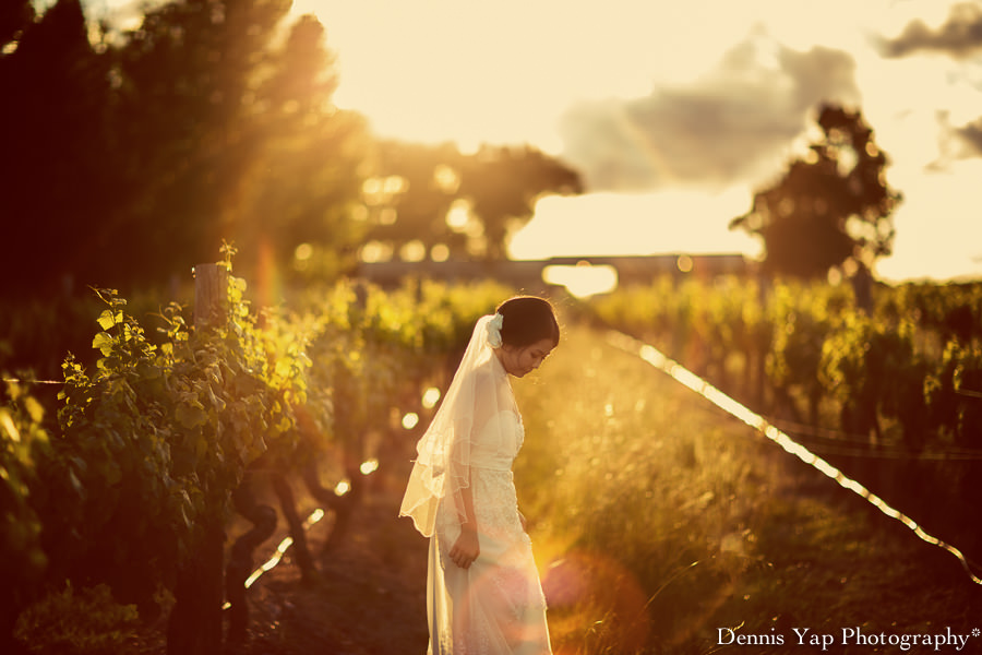 tsen angel pre wedding perth vinyard dennis yap photography kings park-10.jpg