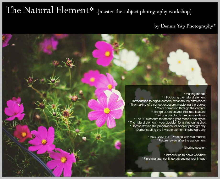 The+Natural+Element+n4.jpg