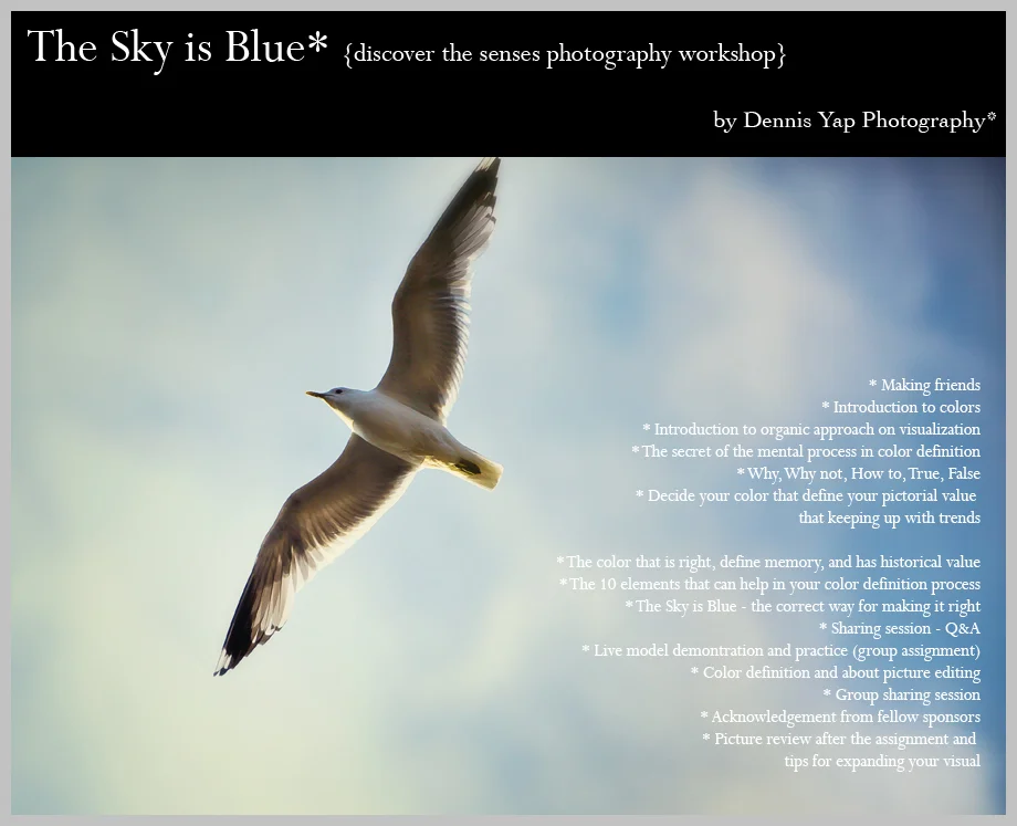 The+Sky+is+blue+Dennis+Yap+Photography+Workshop+about+colors.jpg
