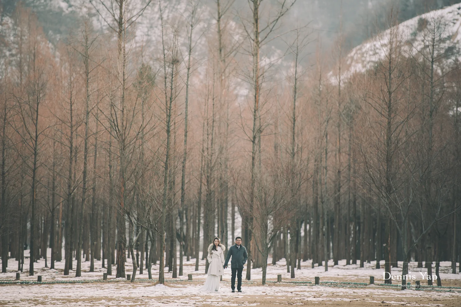 White Odyssey - Lewis & Teresa Pre-Wedding in Seoul and Nami Island, Korea