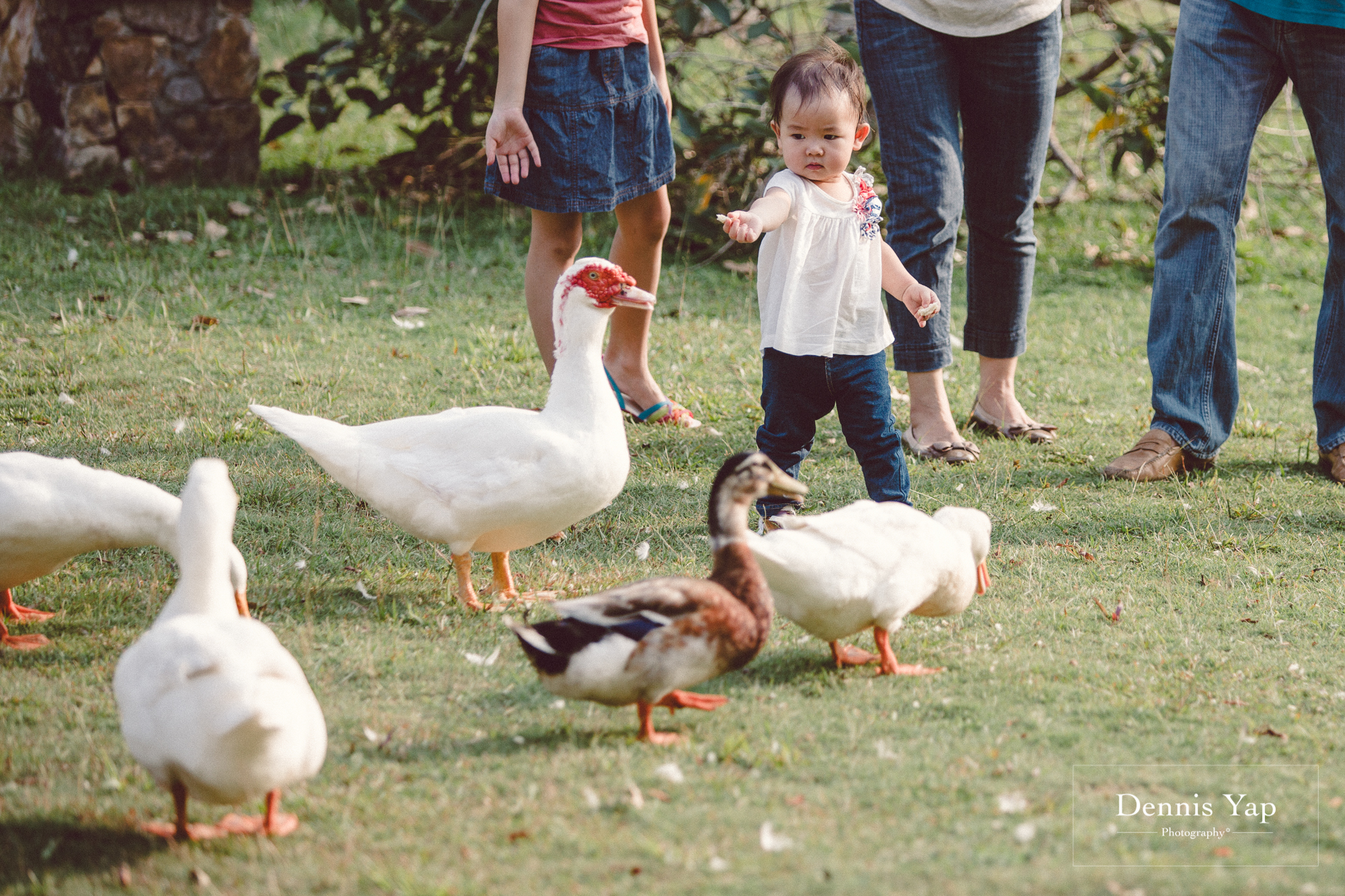 derek tien li family portrait setia eco park dennis yap photography-11.jpg