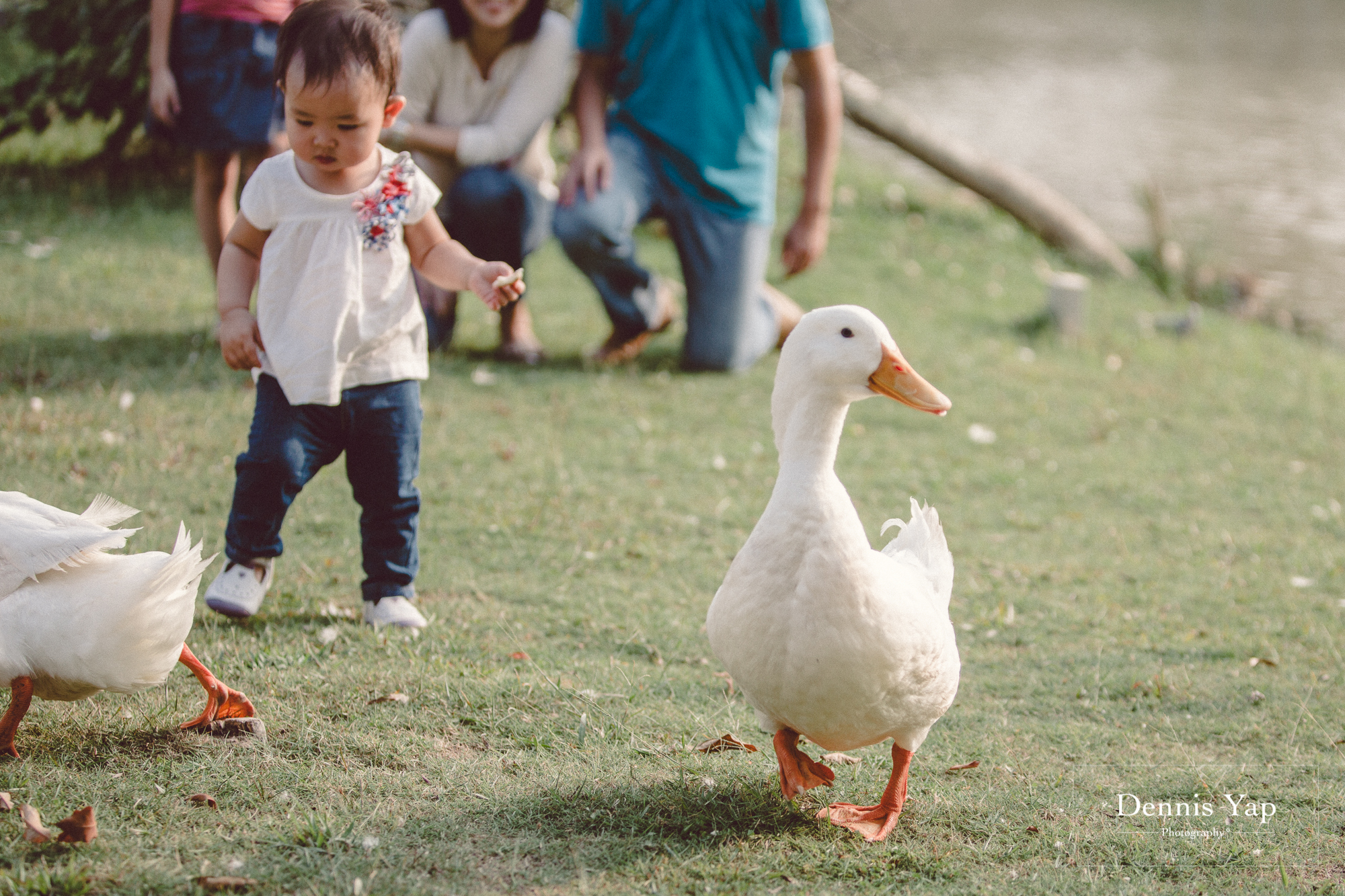 derek tien li family portrait setia eco park dennis yap photography-12.jpg