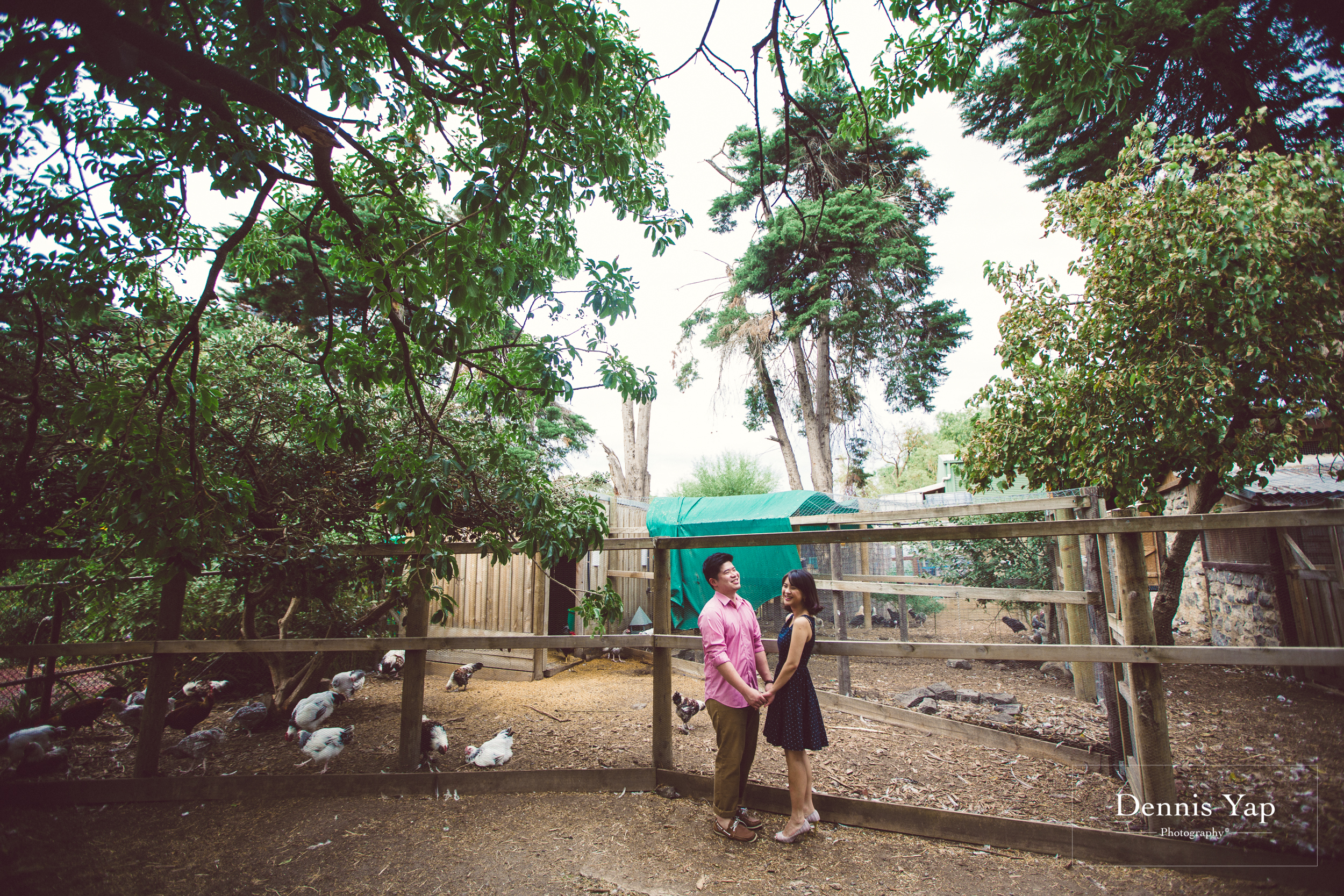 boon marianne melbourne anniversary portrait collingwood children farm dennis yap photography-2.jpg