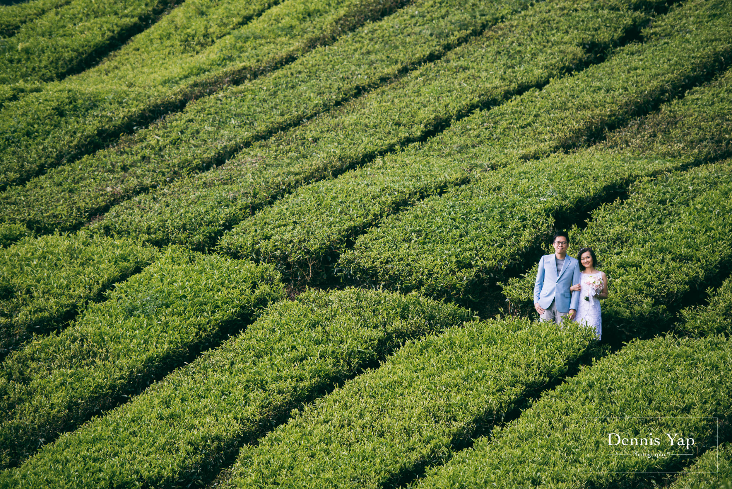 hwa sean jing yee prewedding cameron highlands kellie castle dennis yap photography-1.jpg