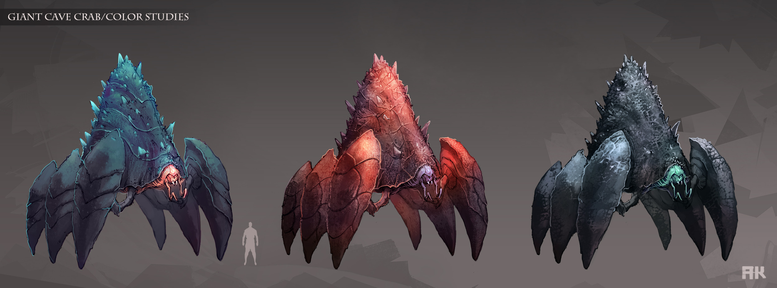 Cave_crab_02.jpg