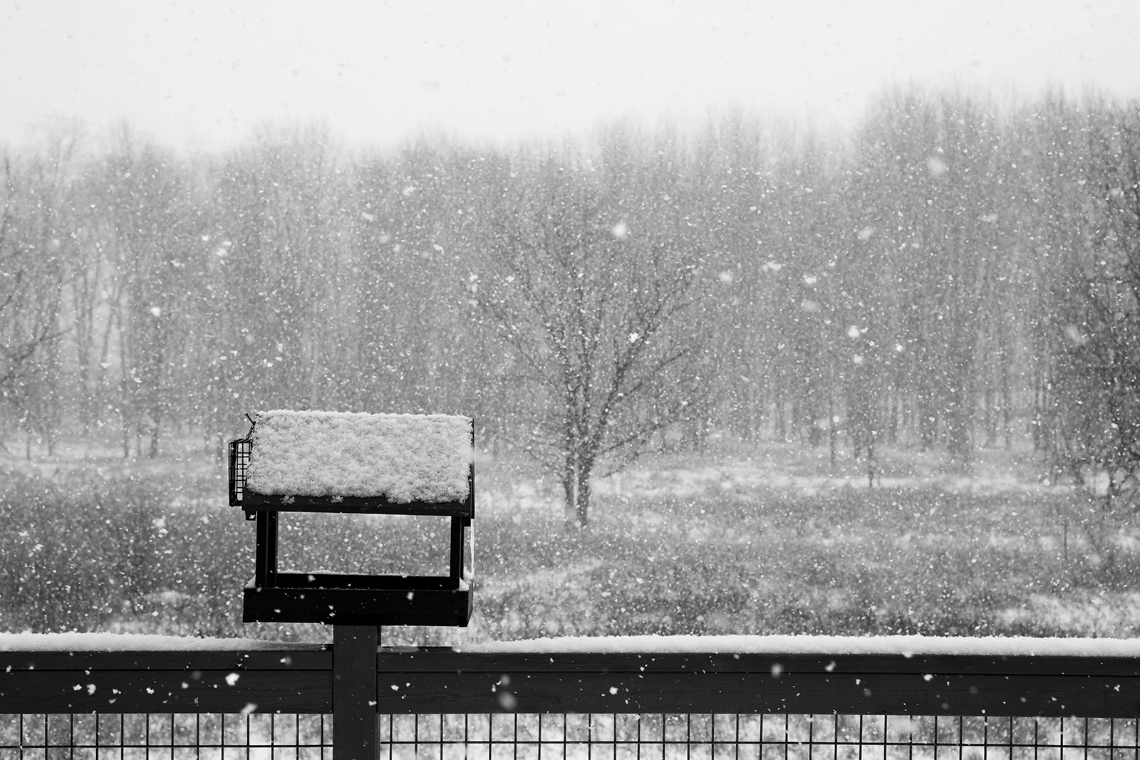 snow_25.jpg