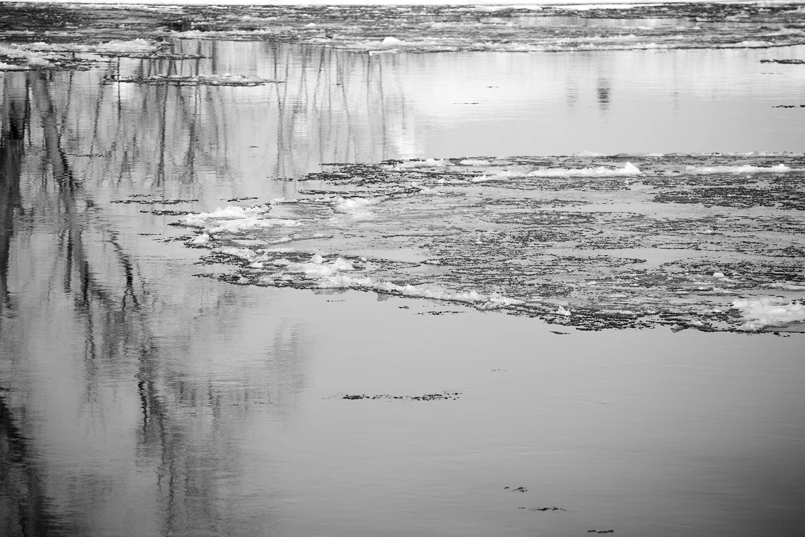 ice_020613_2.jpg