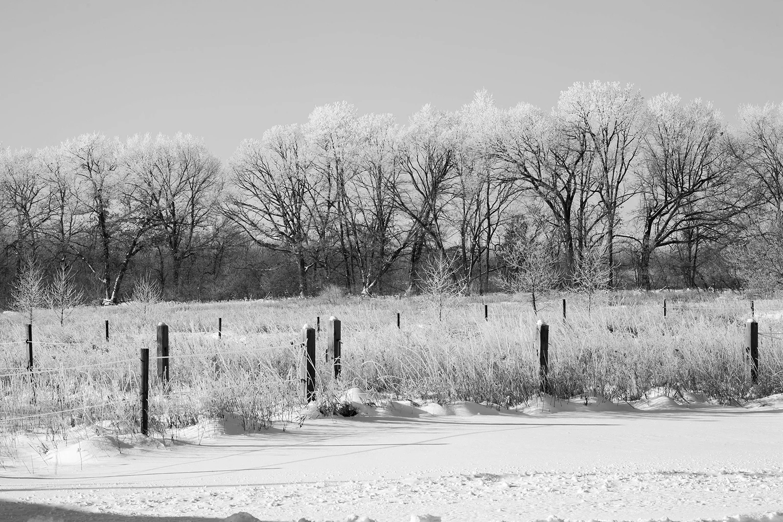 snow_test (4 of 1).jpg