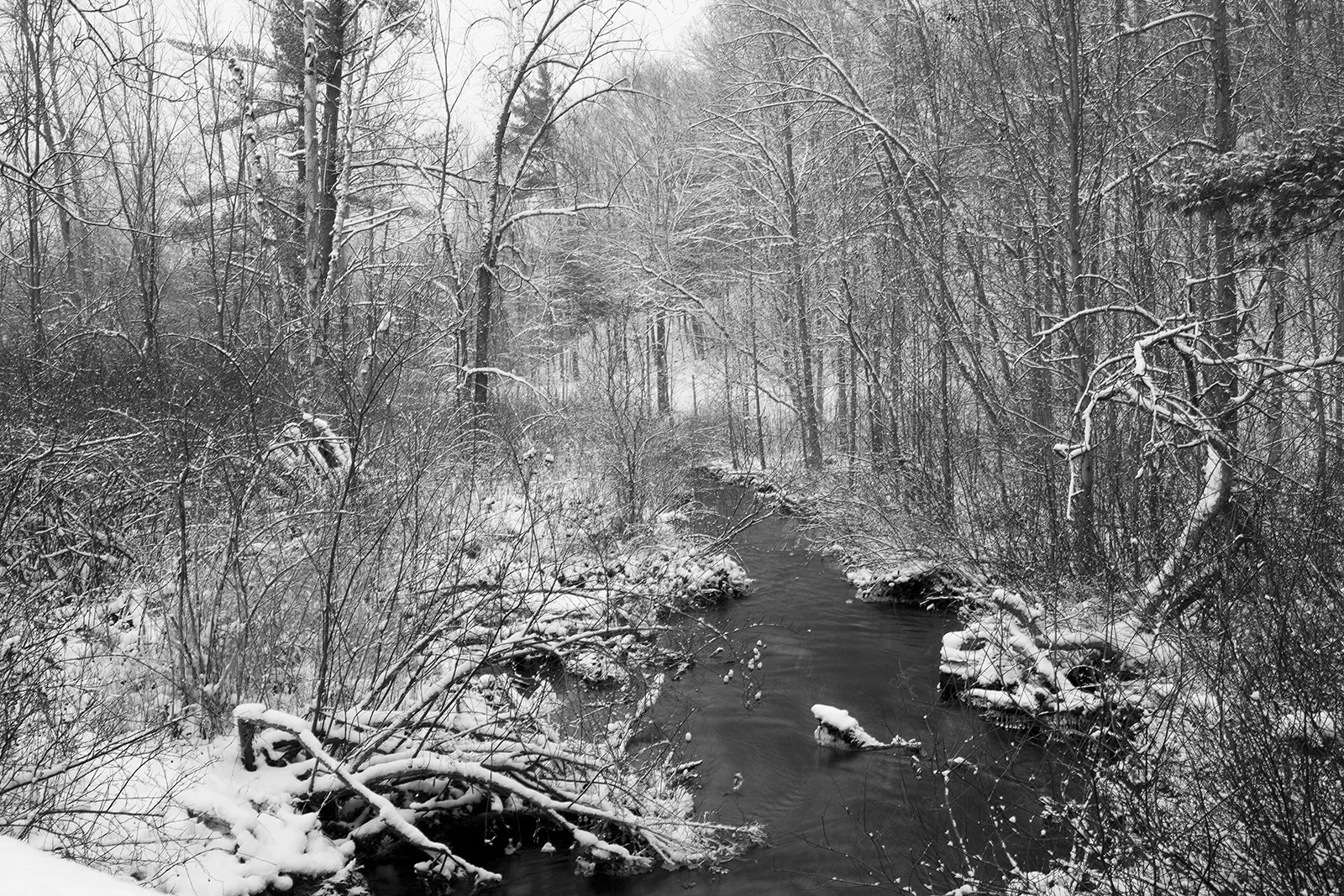 snowy_days_13.jpg