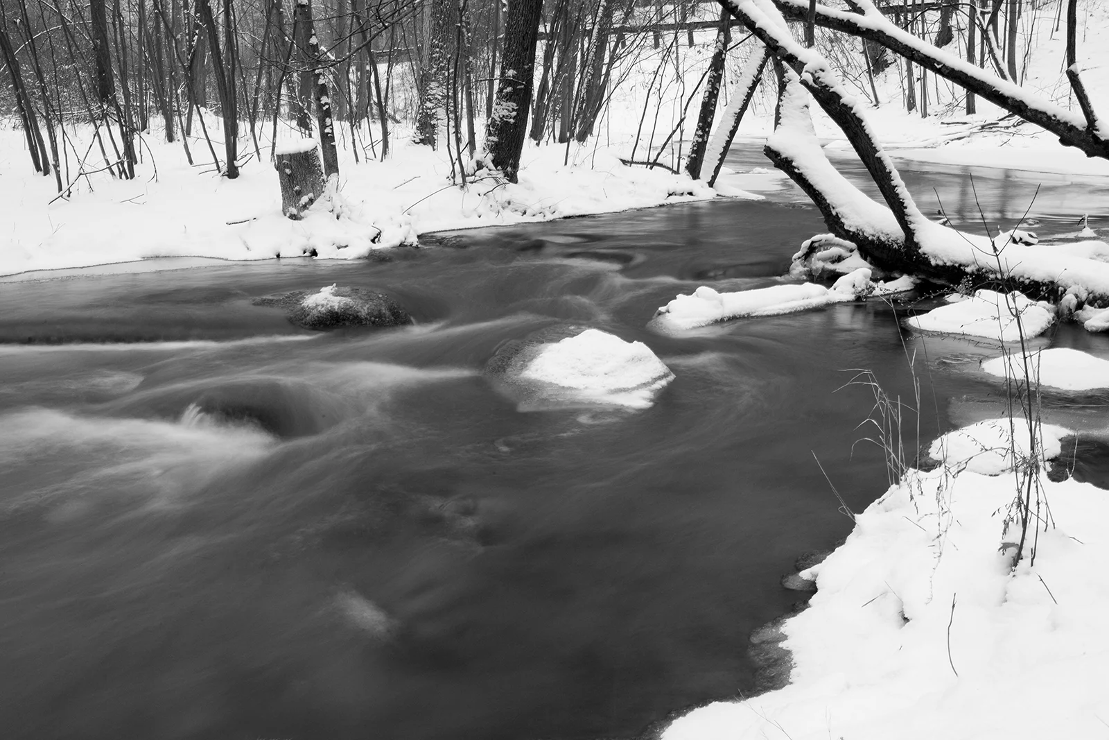 snowy_days_9.jpg