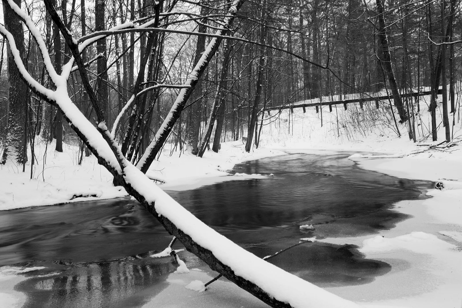 snowy_days_8.jpg