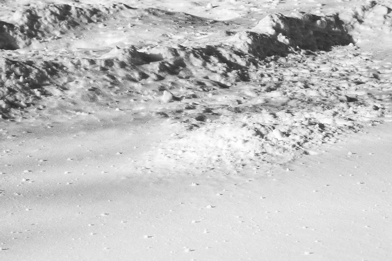 snow_test (3 of 1).jpg