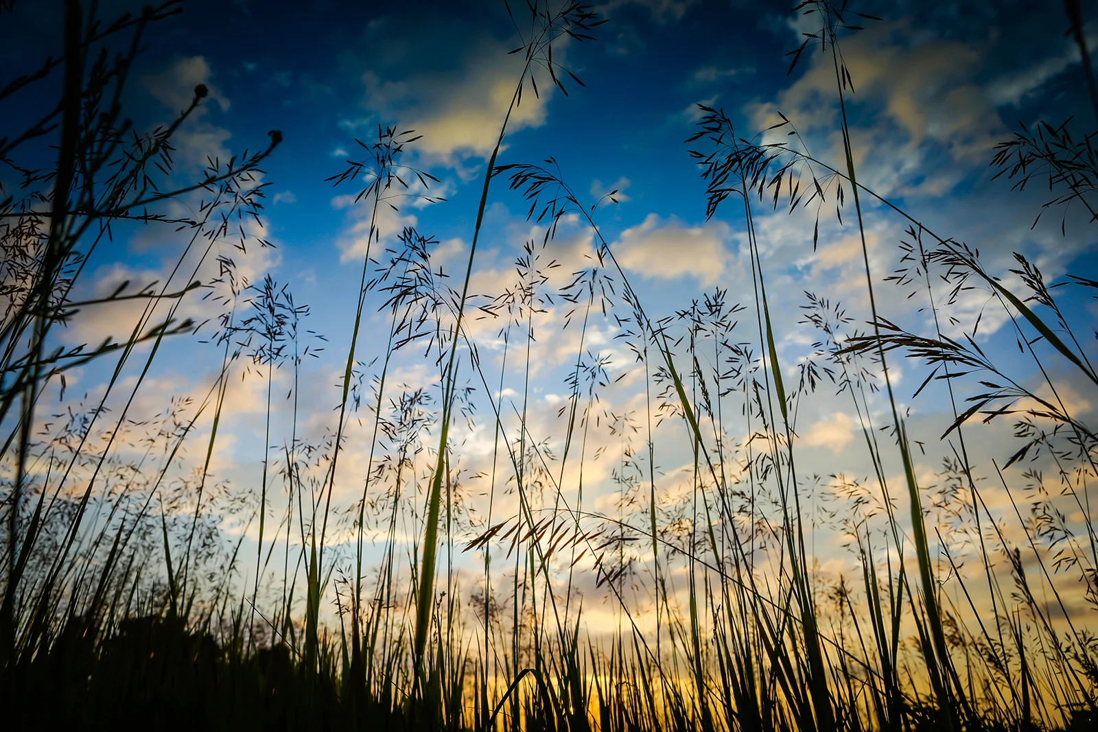 upnorth_1 (34 of 1).jpg