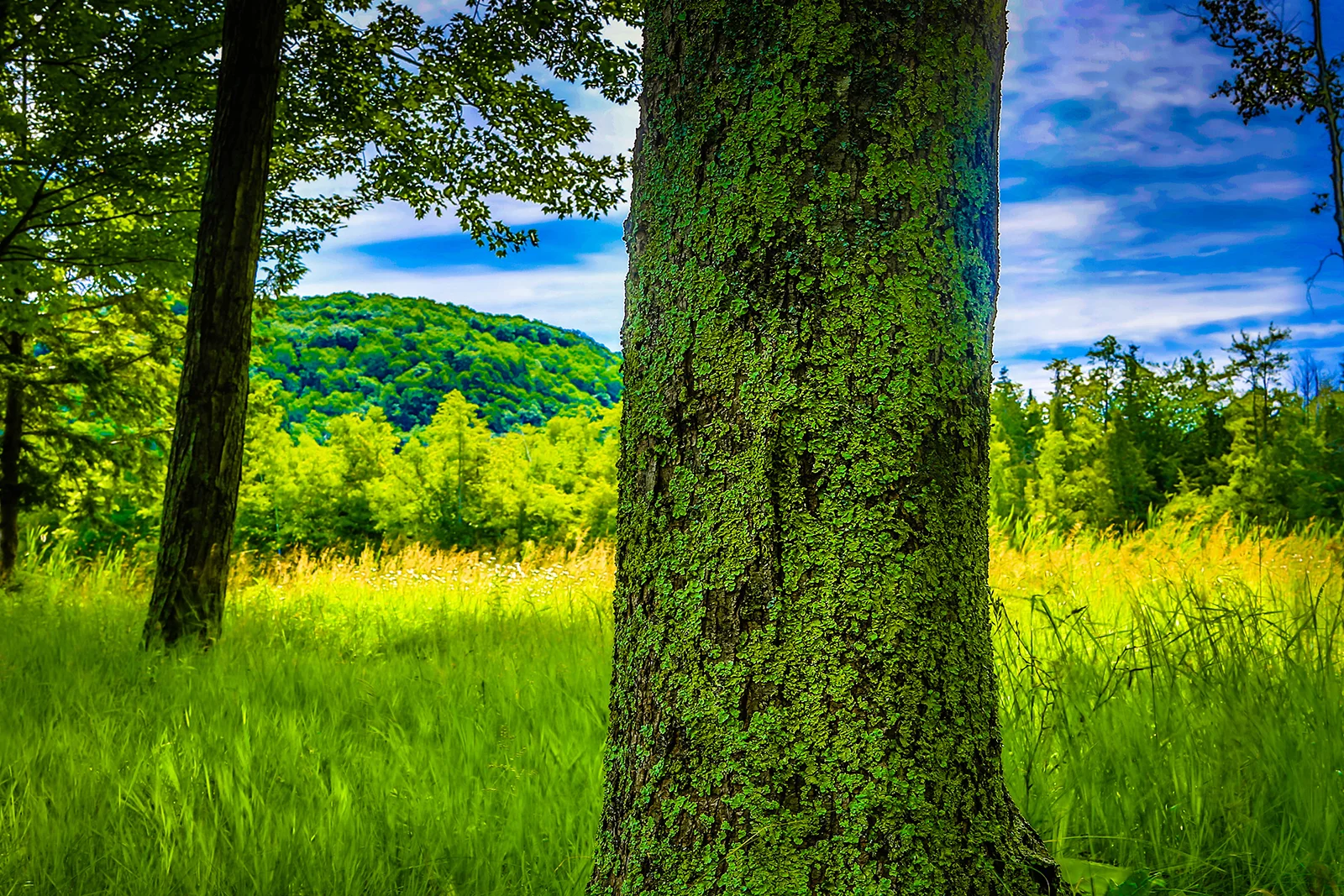 upnorth_1 (11 of 1).jpg